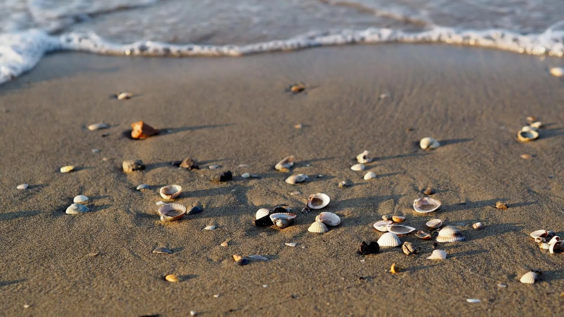Comfortable Apartment Overlooking The Sea Bibione